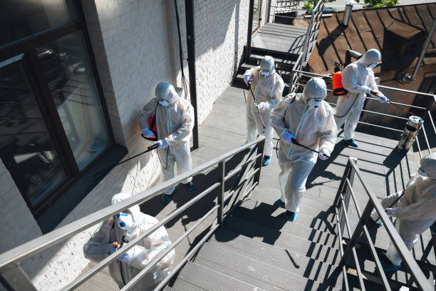 Best HVAC Mold Inspection and Cleaning  in Castle Dale, UT