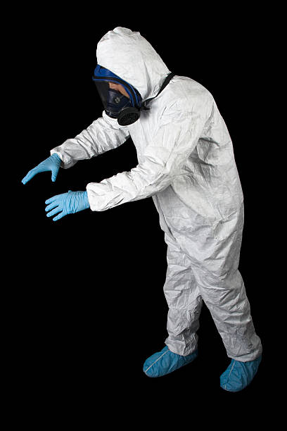 Best Environmental Consulting for Mold Prevention  in Castle Dale, UT