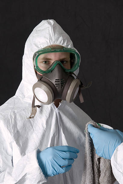 Professional Mold Removal in Castle Dale, UT